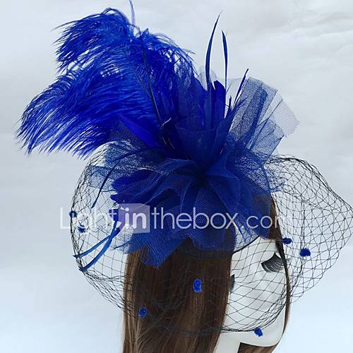 Veer Net Fascinators Birdcage Veils Met 1 Bruiloft Feest Uitgaan Helm huismerk kopen in de aanbieding Veer Net Fascinators Birdcage Veils Met 1 Bruiloft Feest Uitgaan Helm huismerk kopen in de aanbieding