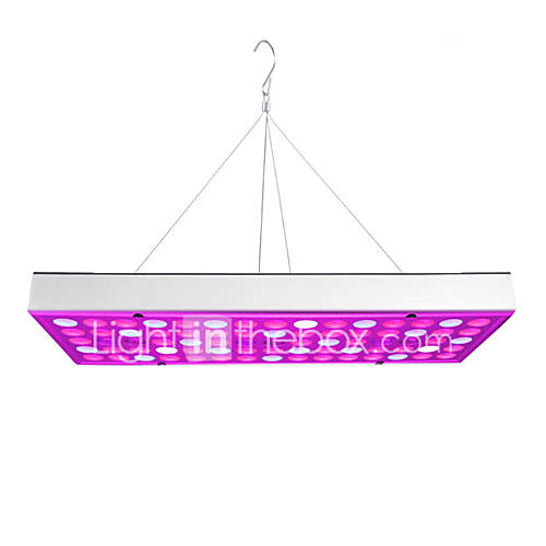 Ywxlight Volledig Spectrum Plant Bloem Led Kweeklamp Paneel Downlight 25W 75Led Ac85 265V Planten Bloemen Vegetatie Ac 85 huismerk kopen in de aanbieding Ywxlight Volledig Spectrum Plant Bloem Led Kweeklamp Paneel Downlight 25W 75Led Ac85 265V Planten Bloemen Vegetatie Ac 85 huismerk kopen in de aanbieding