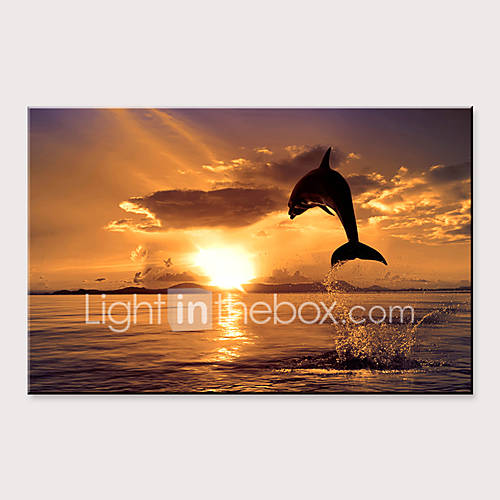 Print Rolde Canvasafdrukken Dieren Watersport Modern huismerk kopen in de aanbieding