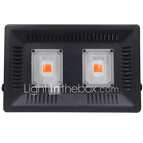 1Pc 100 W 4000 4500 Lm 2 Led Kralen Volledig Spectrum Groeiende Lichtarmatuur Rood Rgb White 110 huismerk kopen in de aanbieding 1Pc 100 W 4000 4500 Lm 2 Led Kralen Volledig Spectrum Groeiende Lichtarmatuur Rood Rgb White 110 huismerk kopen in de aanbieding