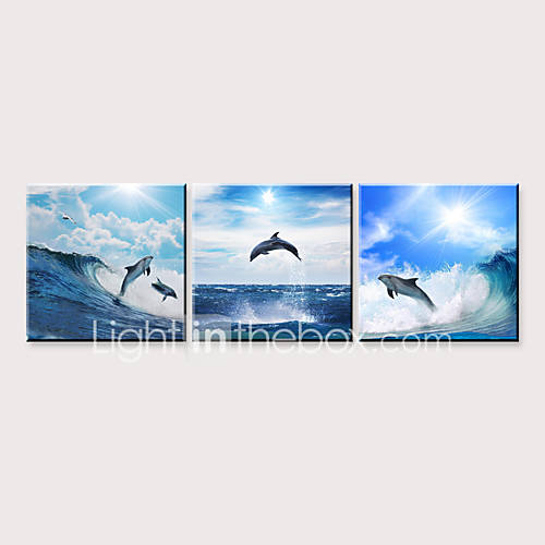 Print Rolde Canvasafdrukken Dieren Watersport Modern Vijf Panelen huismerk kopen in de aanbieding
