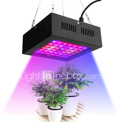 1Pc 80 W 2195 2535 Lm 42 Led Kralen Groeiende Lichtarmatuur Rood 85 265 huismerk kopen in de aanbieding