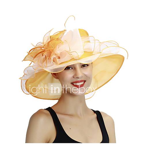 Dames Kentucky Derby Standaard Netstofeffen Zonnehoed Blozend Roze Beige Lichtgroen huismerk kopen in de aanbieding